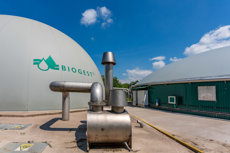 anaerobic digestion image